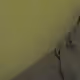 86158236941504766189374818588886949996890746673513974920815838614327464300779