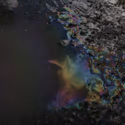 479204264164548163054285974647700687667406271282053863069265319604910149943