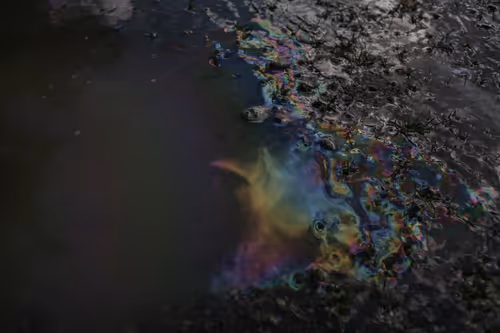 Item #479204264164548163054285974647700687667406271282053863069265319604910149943 Media