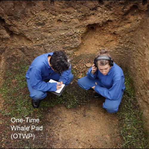 Item #45229485026112490396824814615878420021800267524536437922094859084106010470172 Media