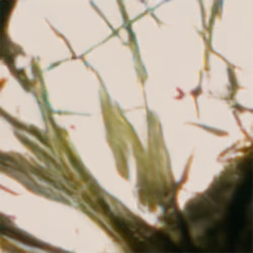 Item #94448281864131732140807195242731246229699306152086113852090641298826382219953 Media