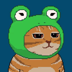 646