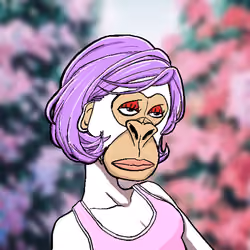 #143 - Ape Syuku