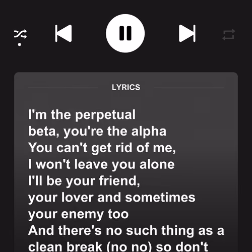 Perpetual Beta