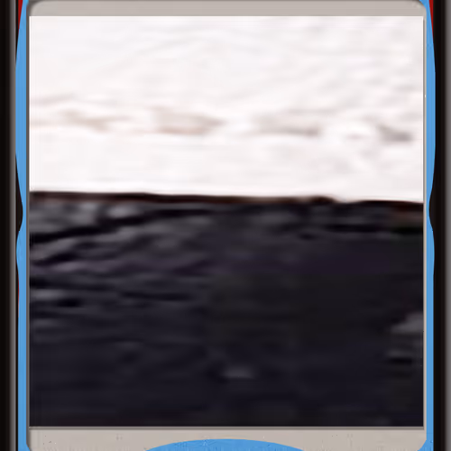 233
