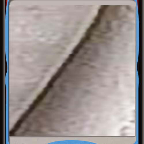 231
