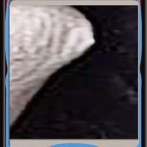 216
