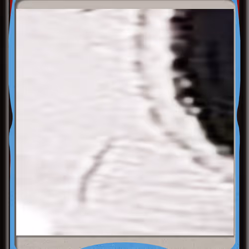 242