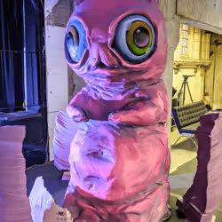 Cat Friend