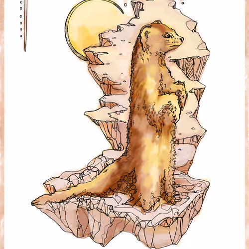 Unidentified contract