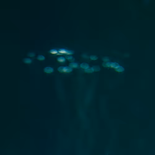 Underwater - W8ab0Bu7oW