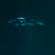 Underwater - W8ab0Bu7oW