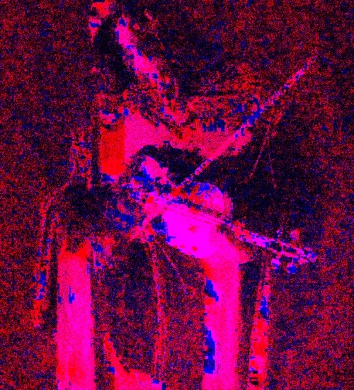 simphony for the muse #fuchsia #17/22