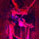 66