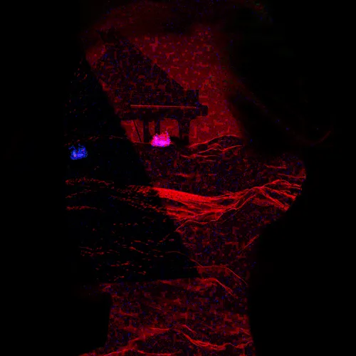 68