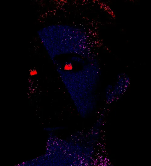 Muse#