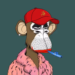 40