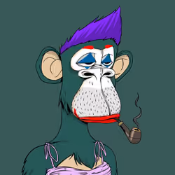 41