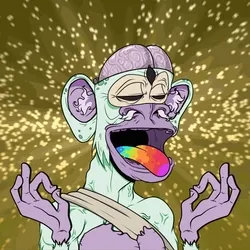 Enlightened Ape 347