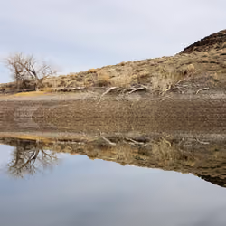 The Desert Lake