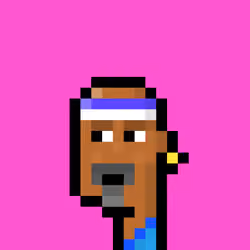 HIPSTER 9