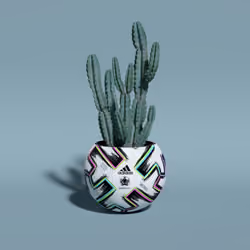 Soccer Ball with Cereus