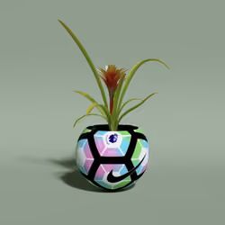 Soccer Ball with Red Bromeliad