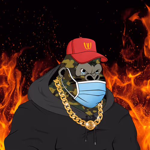 Furious Alpha Kong #1268