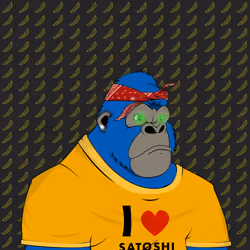 Furious Alpha Kong #1533