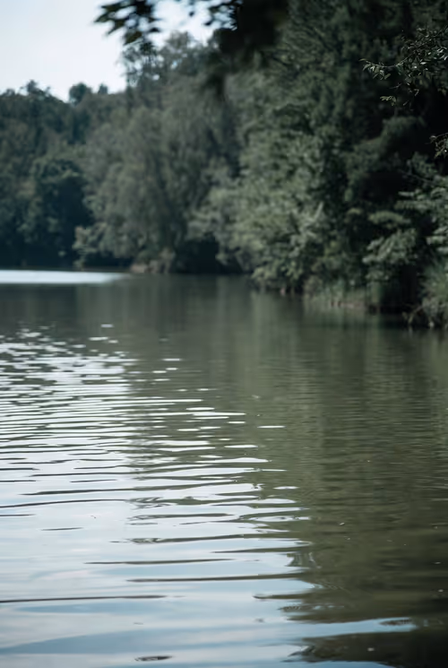 Item #83 Media