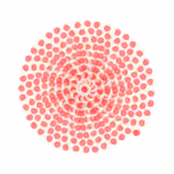 SPIN #0705