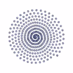 SPIN #0363