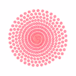 SPIN #0725