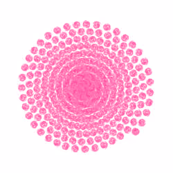 SPIN #0529