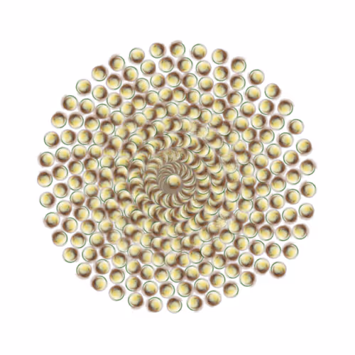 SPIN #0967