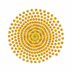SPIN #0192