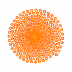 SPIN #0070