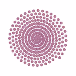 SPIN #0397