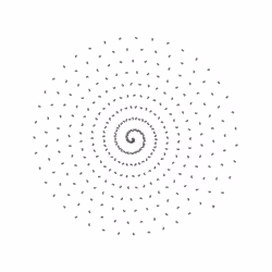 SPIN #0026