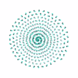 SPIN #0996