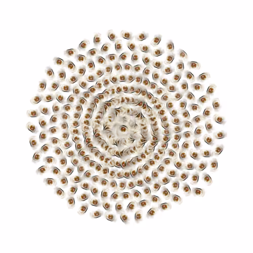 SPIN #0142
