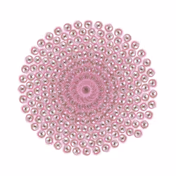 SPIN #0756