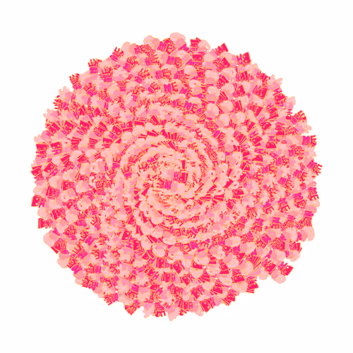 SPIN #0204