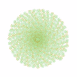 SPIN #0591