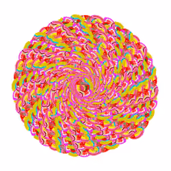 SPIN #0217