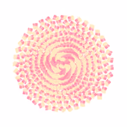SPIN #0002