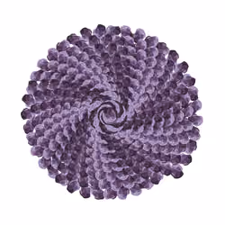 SPIN #0808