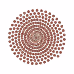 SPIN #0100