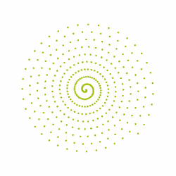 SPIN #0763