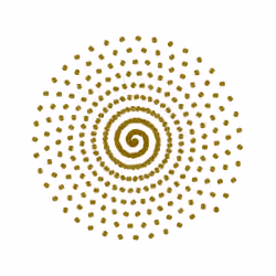SPIN #0522